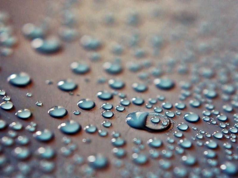 声音捕手<br>hzldzsi.cn 雨打芭蕉声